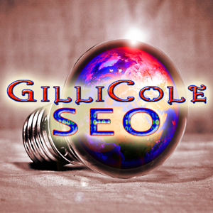 Cheap website SEO tool